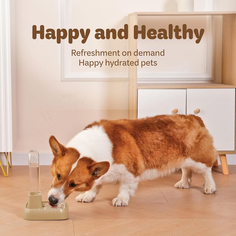 UAMLY Distributeur d'eau pour animaux de compagnie avec filtre