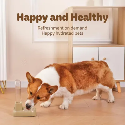 UAMLY Distributeur d'eau pour animaux de compagnie avec filtre