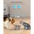 Pet Planet Fontaine À Eau En Acier Inoxydable Pour Chat