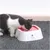 Petopia Bol flottant anti-mouillage pour chiens et chats