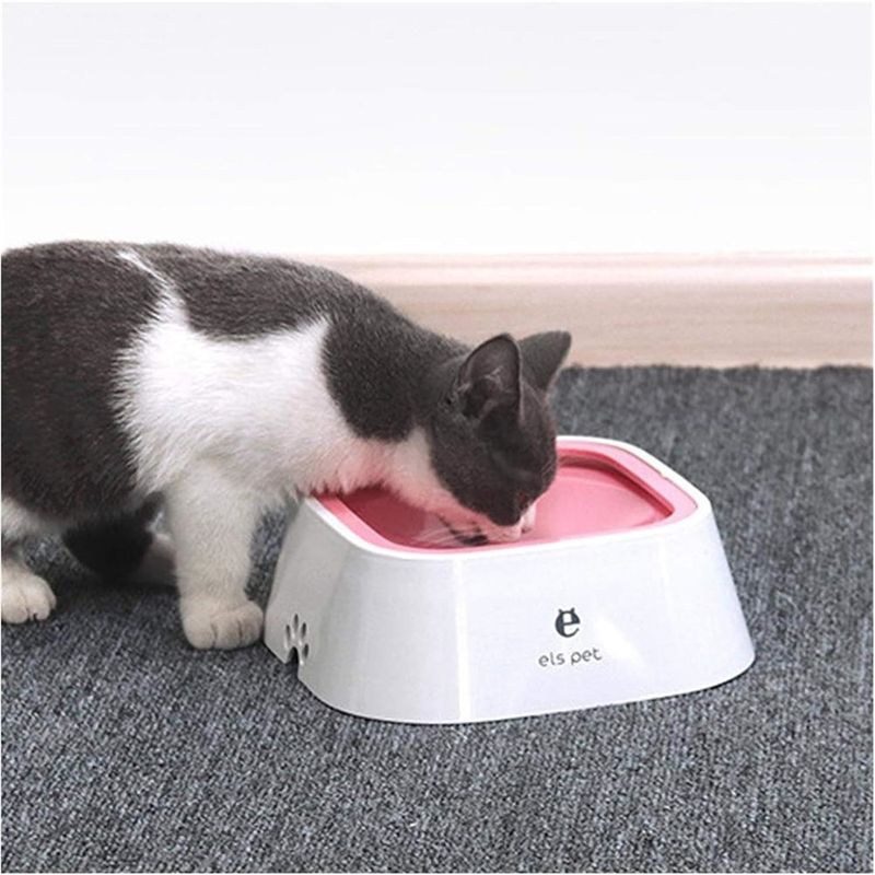 Petopia Bol flottant anti-mouillage pour chiens et chats