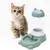 Petopia Distributeur d'eau automatique pour chat et chien
