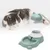 Petopia Distributeur d'eau automatique pour chat et chien