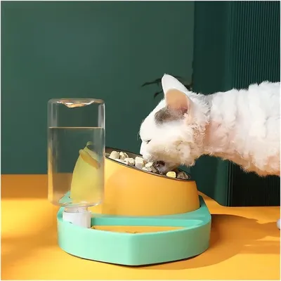 Petopia Baiser d'eau et distributeur de nourriture en pour animaux de compa