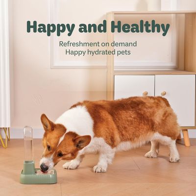 UAMLY Dispensador de agua para mascotas con filtro