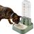 UAMLY Distributeur d'eau pour animaux de compagnie avec filtre
