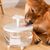 IntiMeg Fontaine à eau en forme de fleur pour chat