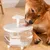 IntiMeg Fontaine à eau en forme de fleur pour chat