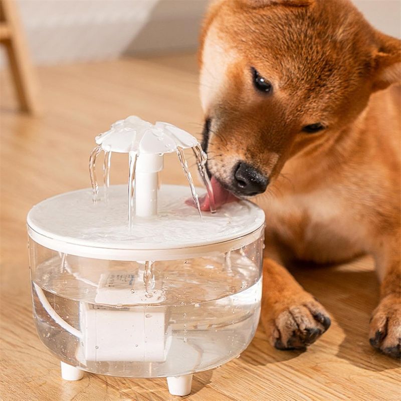 IntiMeg Fontaine à eau en forme de fleur pour chat