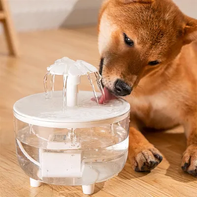 IntiMeg Fontaine à eau en forme de fleur pour chat