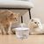 IntiMeg Fontaine à eau en forme de fleur pour chat