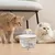 IntiMeg Fontaine à eau en forme de fleur pour chat