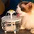 IntiMeg Fontaine à eau en forme de fleur pour chat
