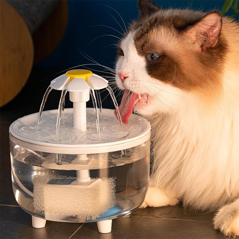 IntiMeg Fontaine à eau en forme de fleur pour chat
