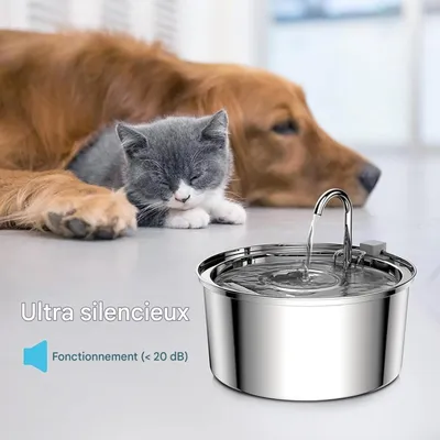 Pet Planet Fontaine À Eau Automatique Pour Chien Et Chat