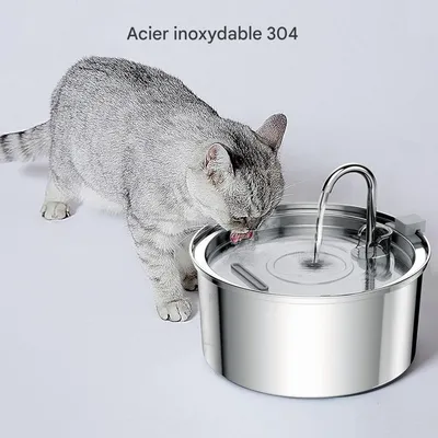 Pet Planet Fontaine À Eau Automatique Pour Chien Et Chat
