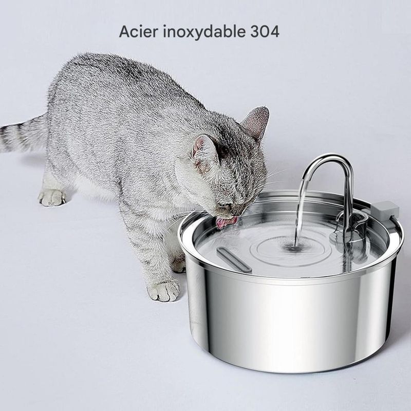 Pet Planet Fontaine À Eau Automatique Pour Chien Et Chat
