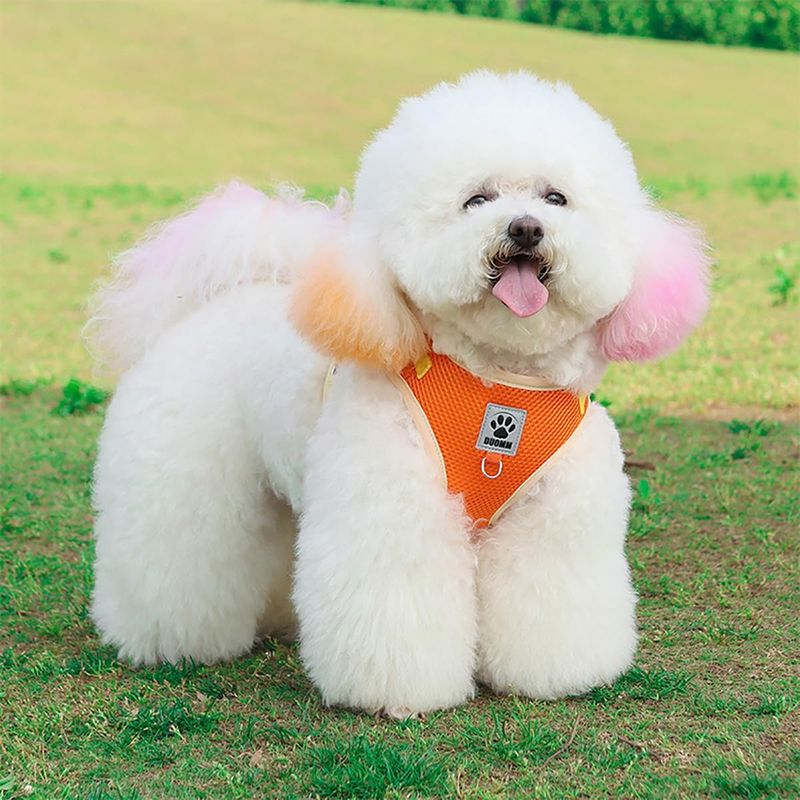 Petopia Harnais réfléchissant pour chats et chiens taille S