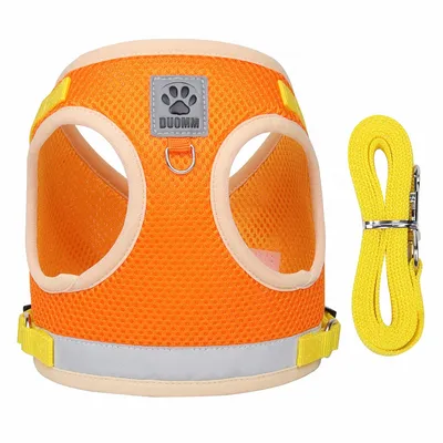 Petopia Harnais réfléchissant pour chats et chiens taille S Petopia Harnais réfléchissant pour chats et chiens taille S