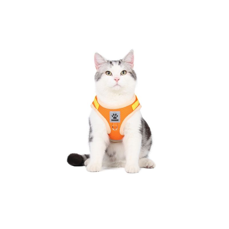 Petopia Harnais réfléchissant pour chats et chiens taille M