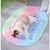 Pet Planet Matelas de refroidissement arc-en-ciel 40×50cm