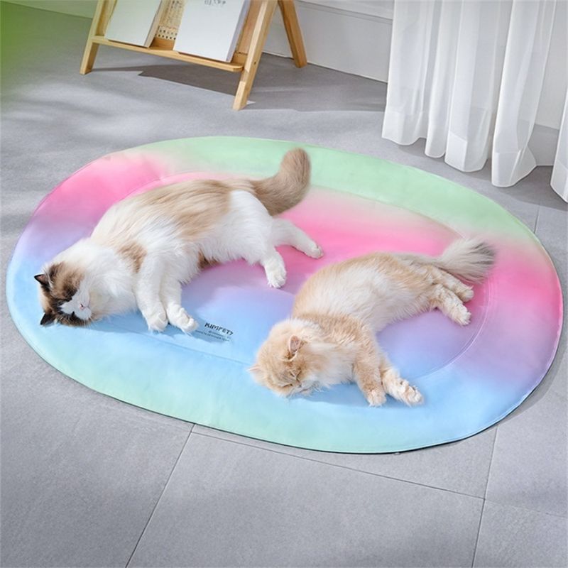 Pet Planet Matelas de refroidissement arc-en-ciel 40×50cm