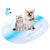 Pet Planet Matelas de refroidissement arc-en-ciel 40×50cm