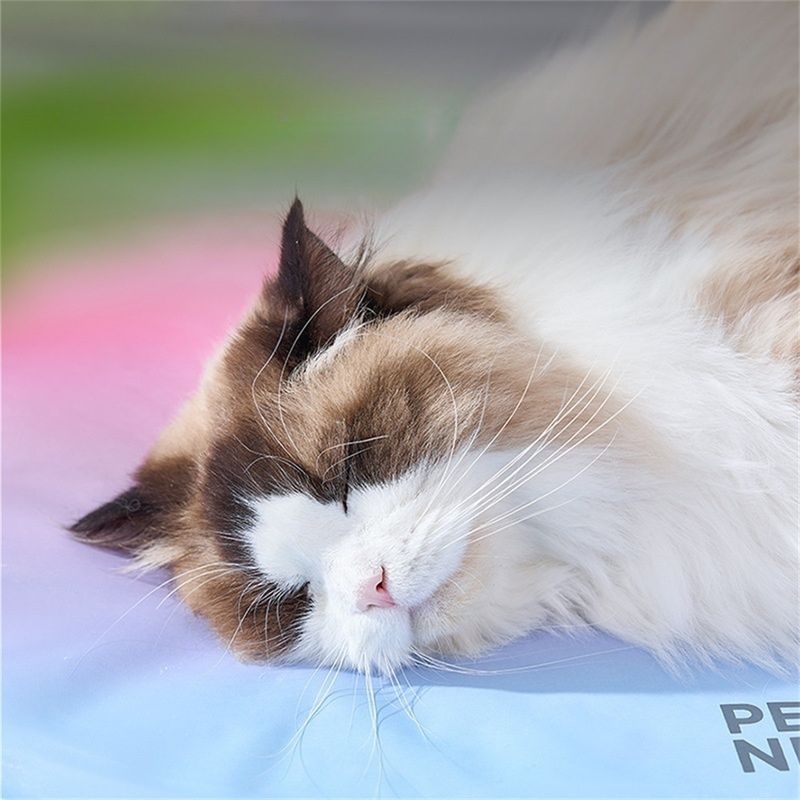 Pet Planet Matelas de refroidissement arc-en-ciel 40×50cm
