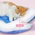 Petopia Coussin de glace pour chat