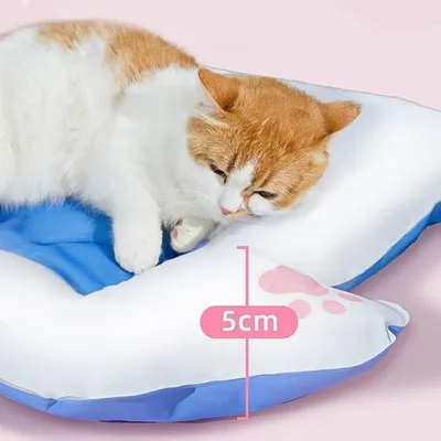 Petopia Coussin de glace pour chat