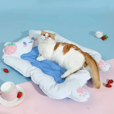 Petopia Coussin de glace pour chat