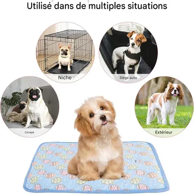 Pet Planet Matelas de refroidissement pour chiens et chats