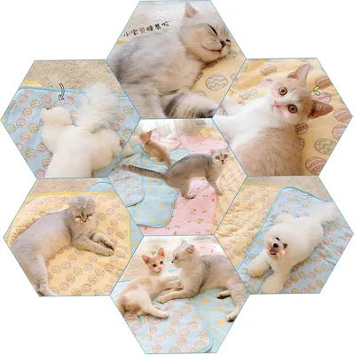 Pet Planet Matelas de refroidissement pour chiens et chats