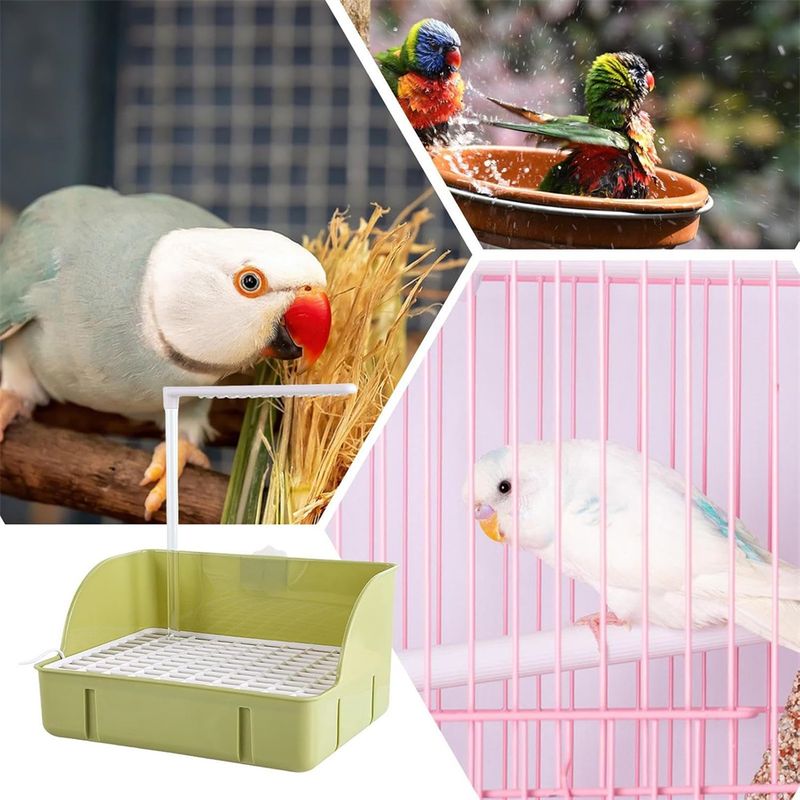 IntiMeg Baignoire avec circulation d'eau pour oiseaux