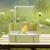 IntiMeg Baignoire avec circulation d'eau pour oiseaux