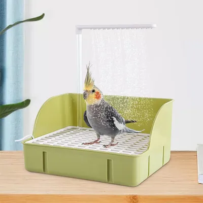 IntiMeg Baignoire avec circulation d'eau pour oiseaux