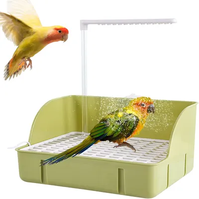 IntiMeg Baignoire avec circulation d'eau pour oiseaux IntiMeg Baignoire avec circulation d'eau pour oiseaux