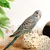 IntiMeg Lot de 3 balles naturelles à mâcher pour oiseaux