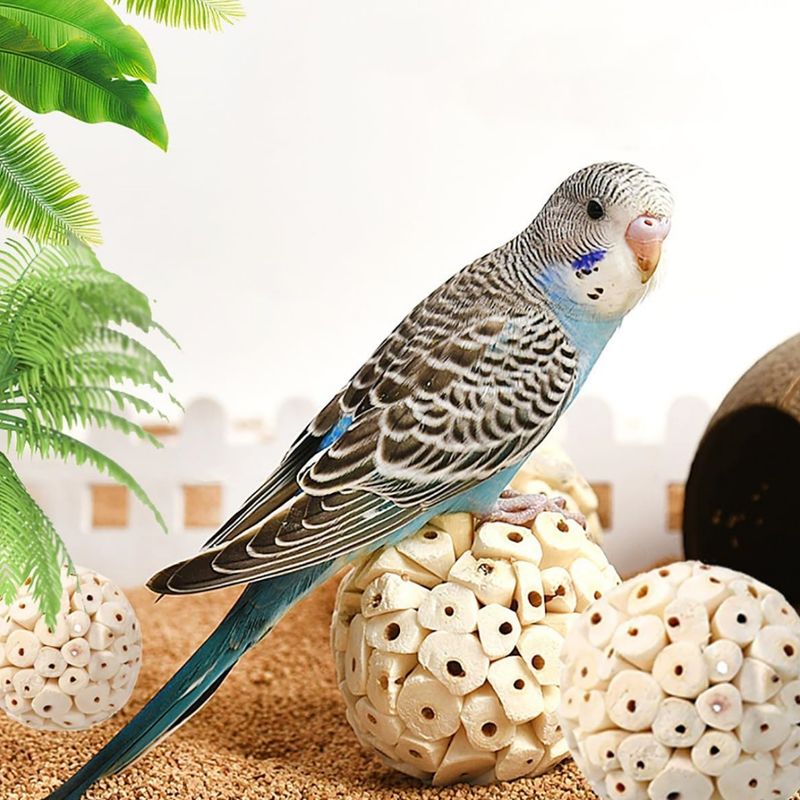 IntiMeg Lot de 3 balles naturelles à mâcher pour oiseaux