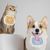Pet Planet 4 Pcs Dentelle Bandana Pour Chien Chat
