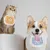 Pet Planet 4 Pcs Dentelle Bandana Pour Chien Chat