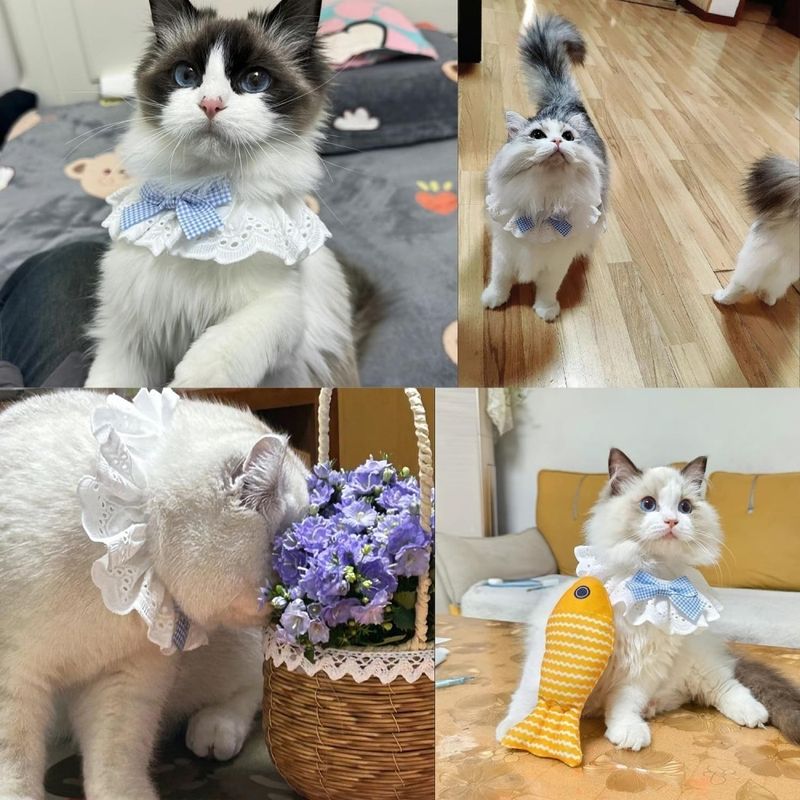 Pet Planet Joyful Moments Bandana Et Écharpe Pour Chien Chat