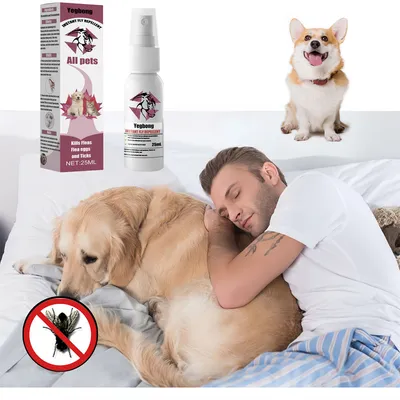 Pet Planet Spray antiparasitaire pour chats et chiens 25ml