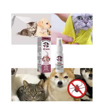 Pet Planet Spray antiparasitaire pour chats et chiens 25ml