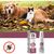 Pet Planet Spray antiparasitaire pour chats et chiens 25ml