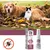 Pet Planet Spray antiparasitaire pour chats et chiens 25ml