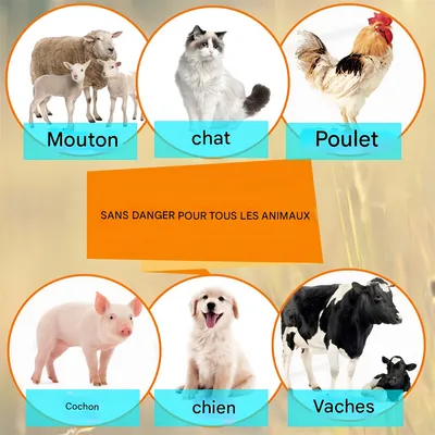 Pet Planet Spray antiparasitaire pour chats et chiens 25ml