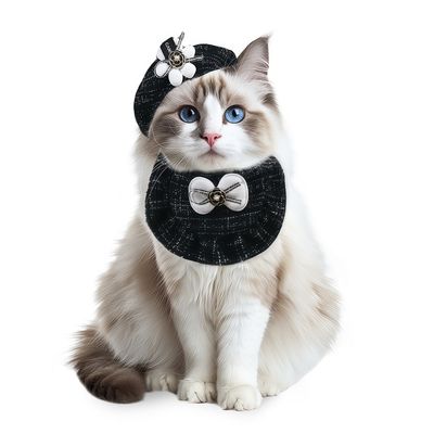 Accessoires pour chat : chapeau tweed à fleurs, nœud papillon et bavette