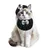 Accessoires pour chat : chapeau tweed à fleurs, nœud papillon et bavette Accessoires pour chat : chapeau tweed à fleurs, nœud papillon et bavette