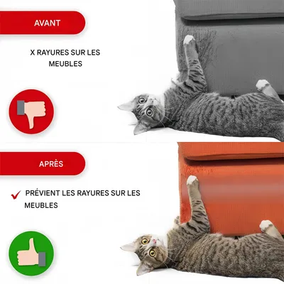 Pet Planet Ruban protecteur anti-griffures pour canapé Pet Planet Ruban protecteur anti-griffures pour canapé